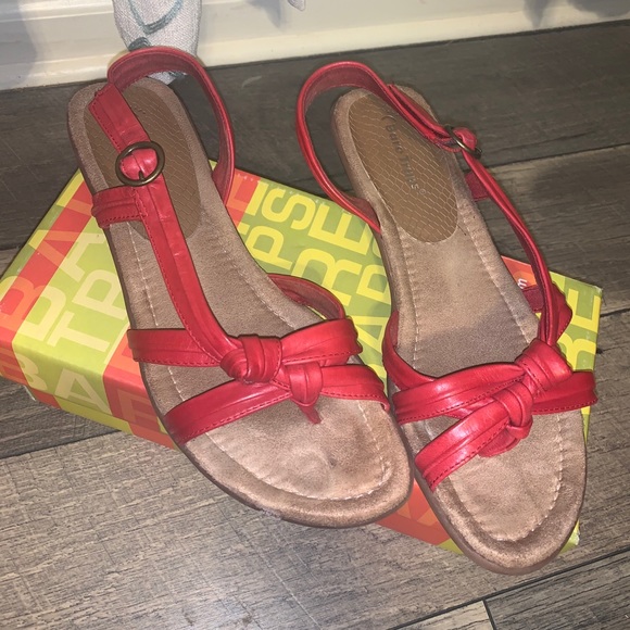 BareTraps - Picture 4 of 11